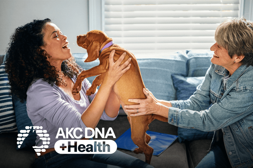 AKC DNA + Health Kit