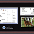 American Kennel Club Masterpiece Pedigree, Registration, & 5" x 7" Photo Frame