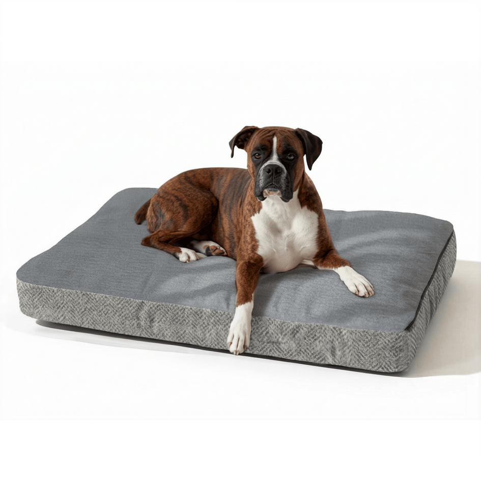 Snoozer Slumber Spot Dog Bed