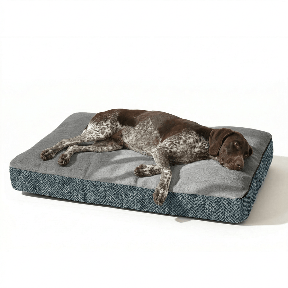 Snoozer Slumber Spot Dog Bed