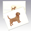 Basset Fauve de Bretagne Note Cards