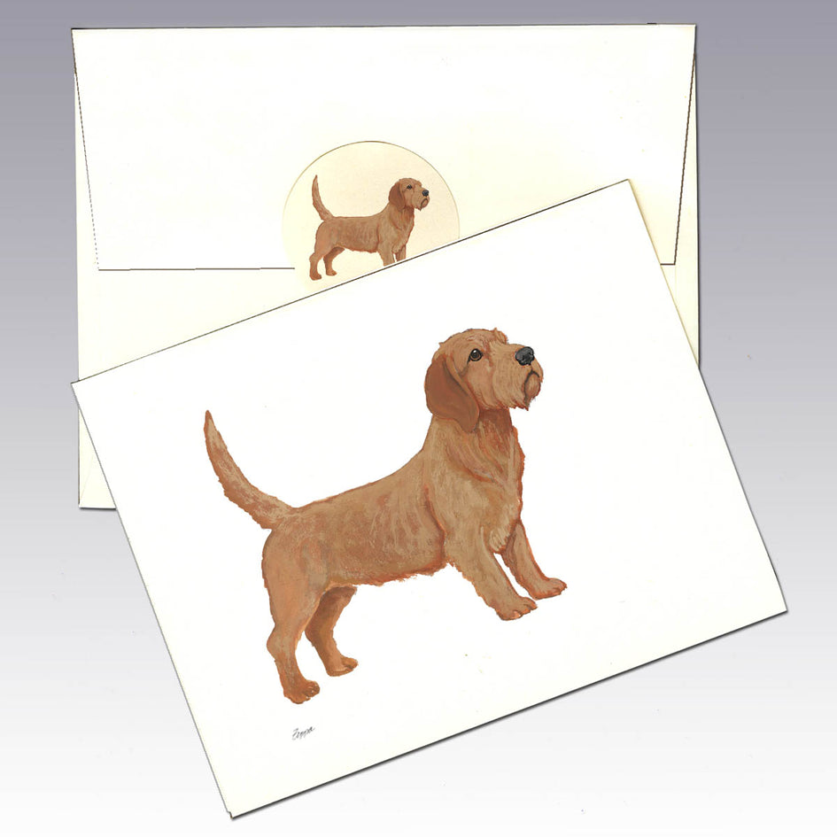 Basset Fauve de Bretagne Note Cards