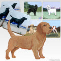 Basset Fauve de Bretagne Scenic Square Coaster