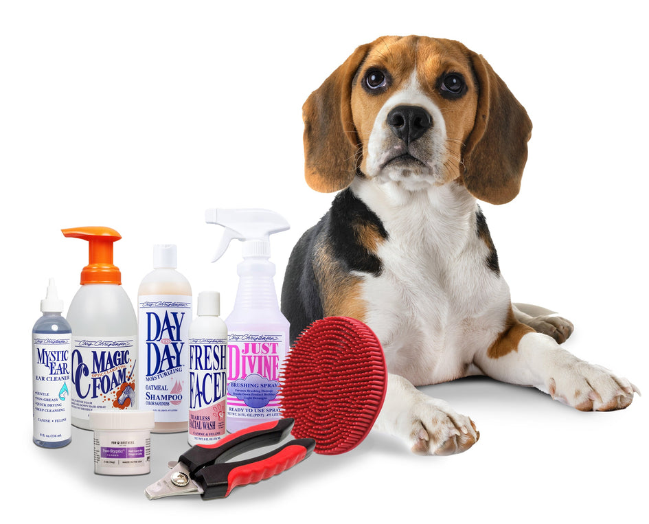 Essential Dog Grooming Kit & Shedding Brush