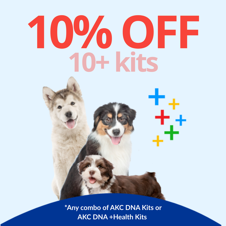 AKC DNA Kit