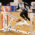 National Agility Championship Eligibility Report