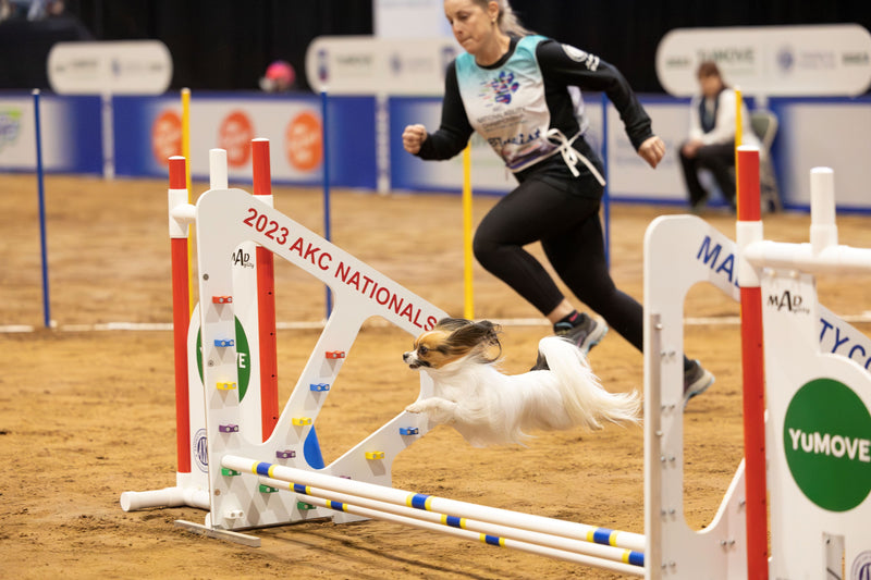 National Agility Championship Eligibility Report