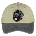 Newfoundland  Embroidered Two Tone Baseball Cap