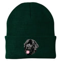 Newfoundland Embroidered Beanie