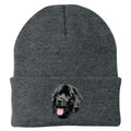 Newfoundland Embroidered Beanie