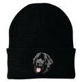 Newfoundland Embroidered Beanie