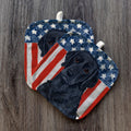 Curly-Coated Retriever  Americana Pot Holder Set