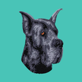 Great Dane Embroidered Baseball Cap