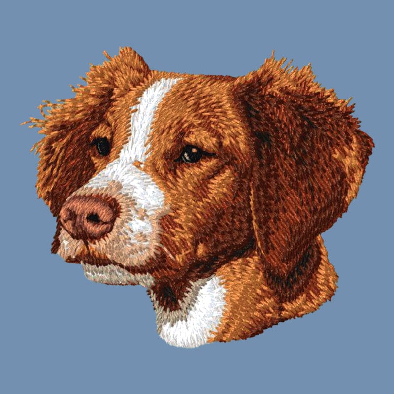 Brittany Embroidered Men's Denim Shirt