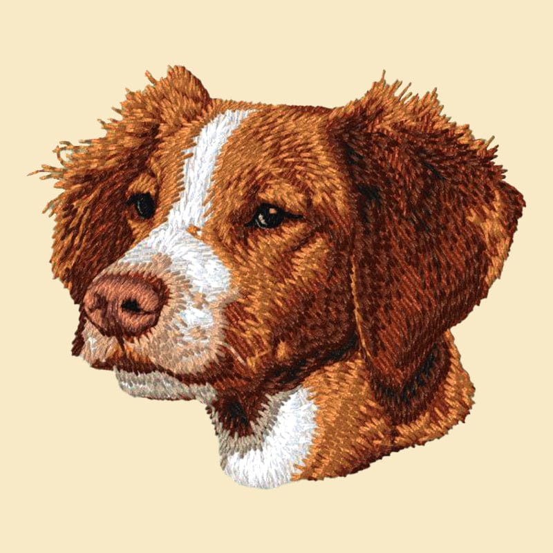 Brittany Embroidered Tote