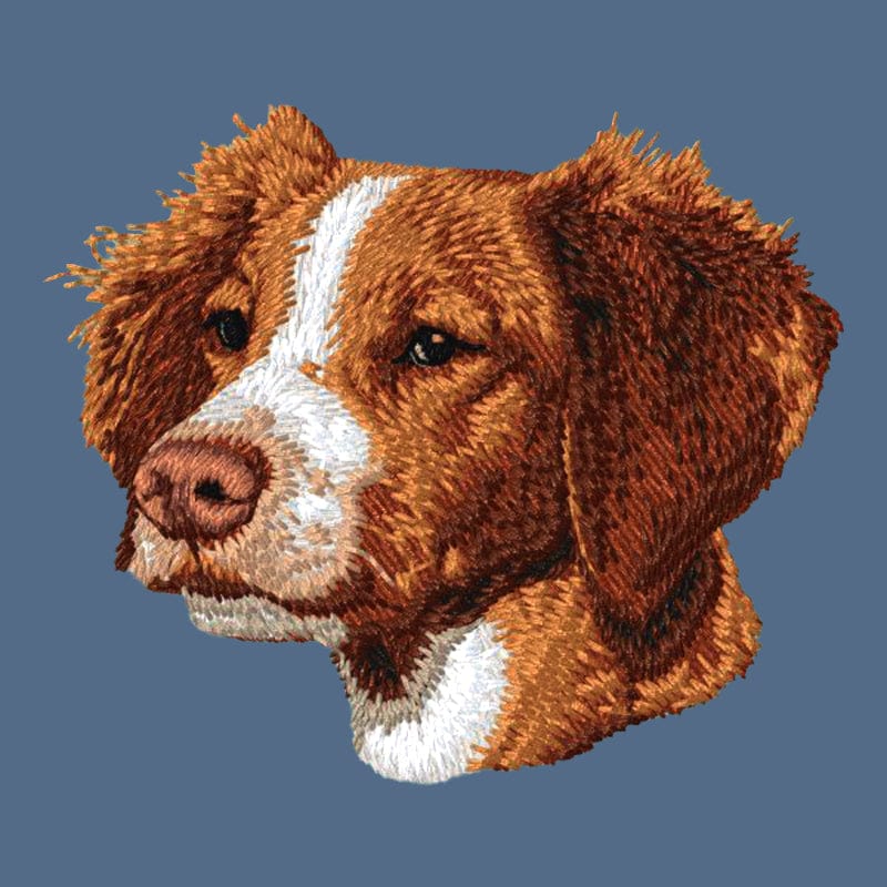 Brittany Embroidered Women's Denim Shirt