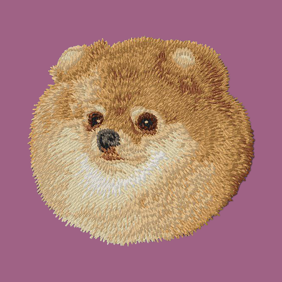 Pomeranian Embroidered Classic Long Sleeve Shirt