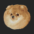 Pomeranian Embroidered Sweatshirt Hoodie