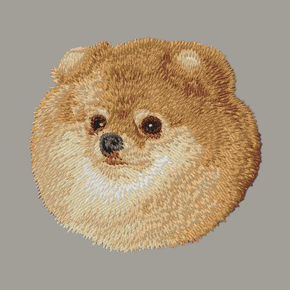 Pomeranian Embroidered Sweatshirt Hoodie