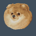 Pomeranian Embroidered Baseball Cap