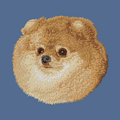 Pomeranian Embroidered Baseball Cap