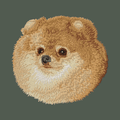 Pomeranian Embroidered Baseball Cap
