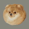 Pomeranian Embroidered Baseball Cap
