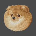 Pomeranian Embroidered Men's Fleece Jacket