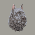 Bouvier des Flandres Embroidered Sweatshirt Hoodie
