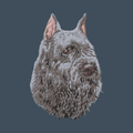 Bouvier des Flandres Embroidered Baseball Cap