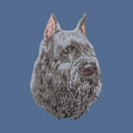 Bouvier des Flandres Embroidered Baseball Cap