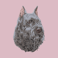 Bouvier des Flandres Embroidered Baseball Cap