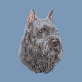 Bouvier des Flandres Embroidered Men's Denim Shirt