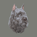 Bouvier des Flandres Embroidered Wearable Blanket