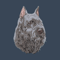 Bouvier des Flandres Embroidered Women's Denim Shirt