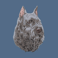 Bouvier des Flandres Embroidered Women's Denim Shirt