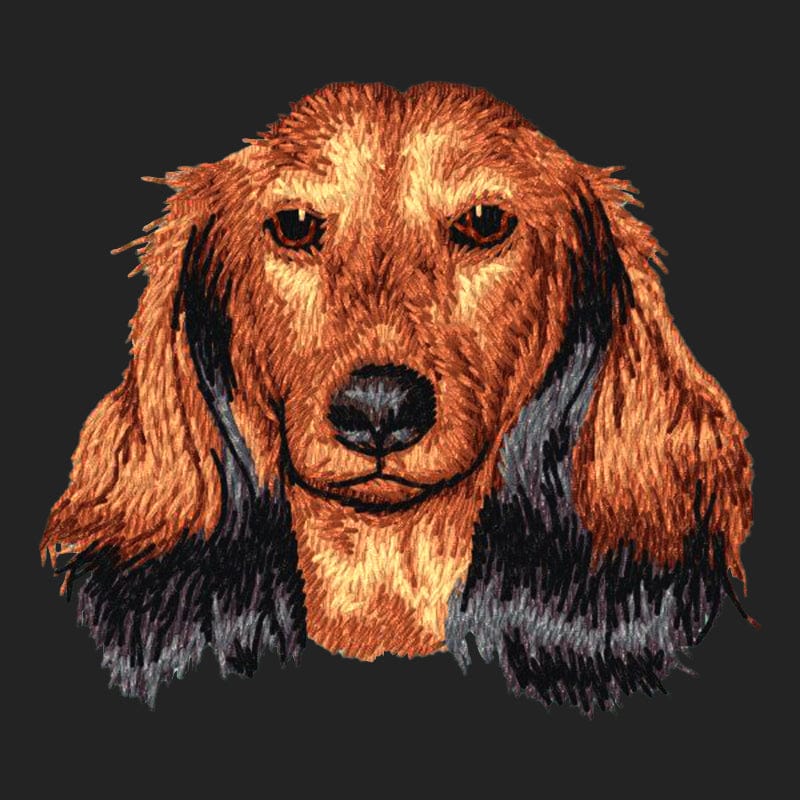 Dachshund Embroidered Sweatshirt Hoodie