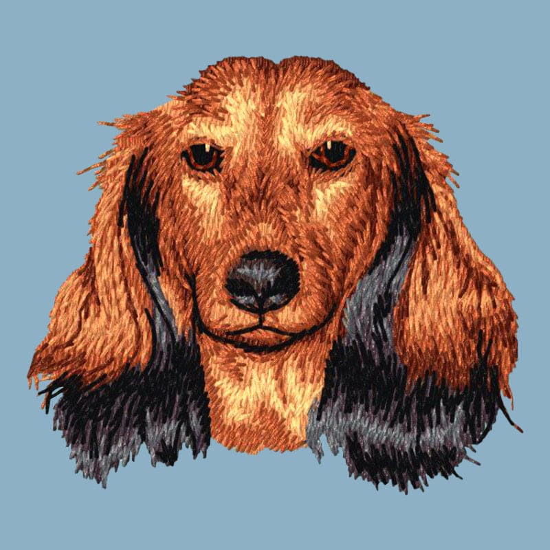 Dachshund Embroidered Sweatshirt Hoodie