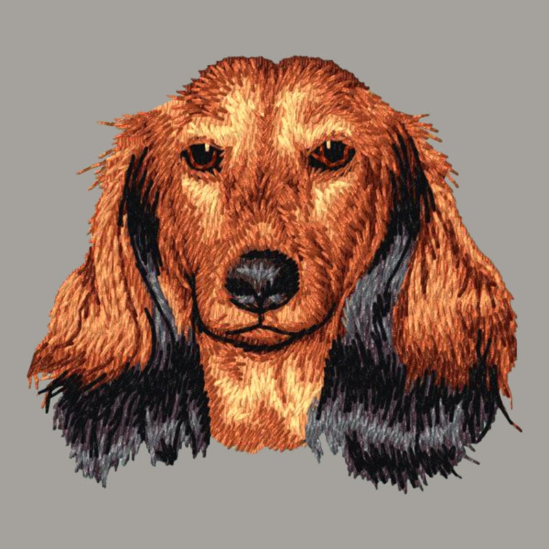 Dachshund Embroidered Sweatshirt Hoodie