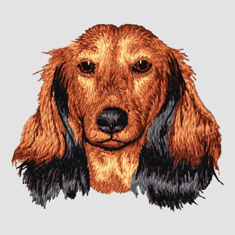 Dachshund Embroidered Sweatshirt Hoodie