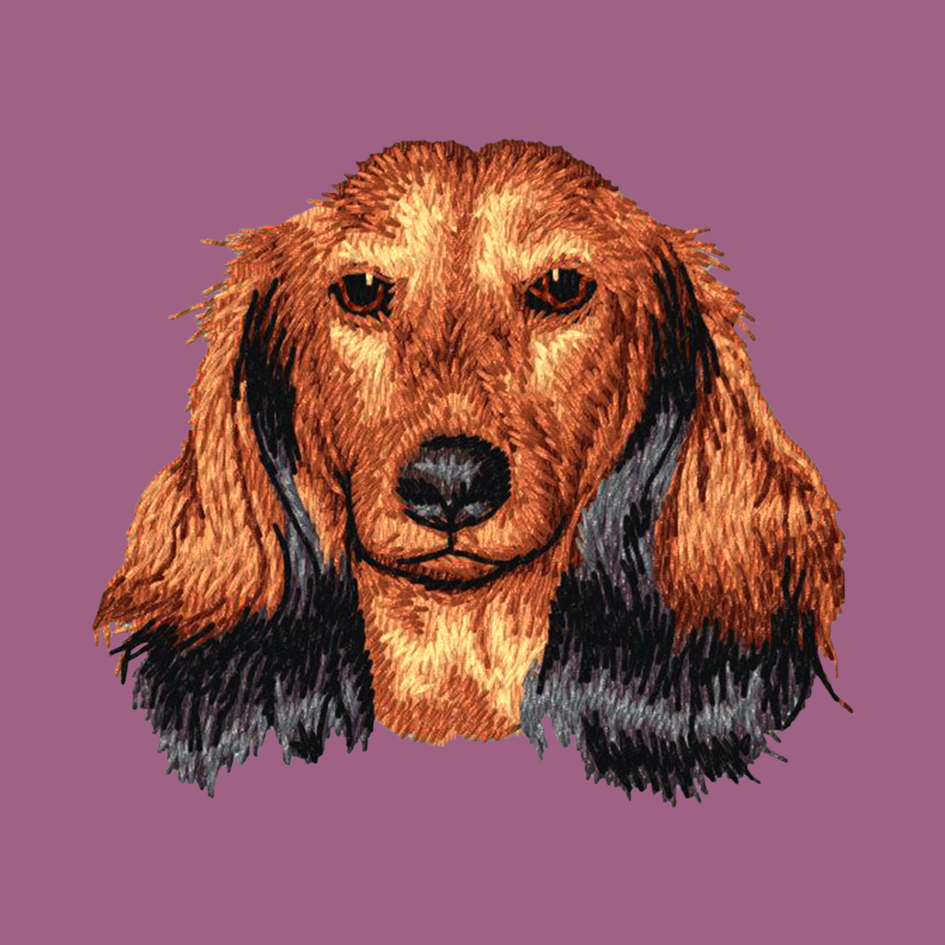 Dachshund Embroidered Classic Long Sleeve Shirt