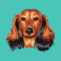 Dachshund Embroidered Baseball Cap