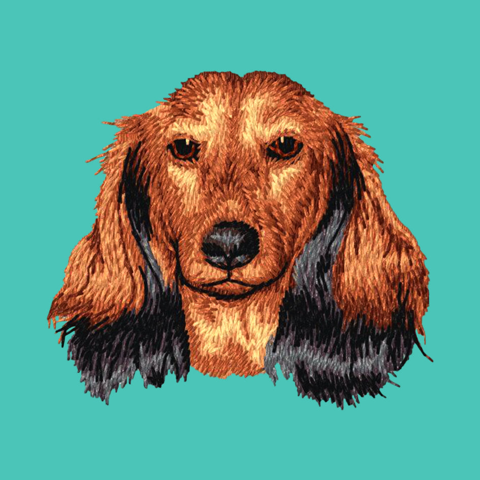 Dachshund Embroidered Baseball Cap