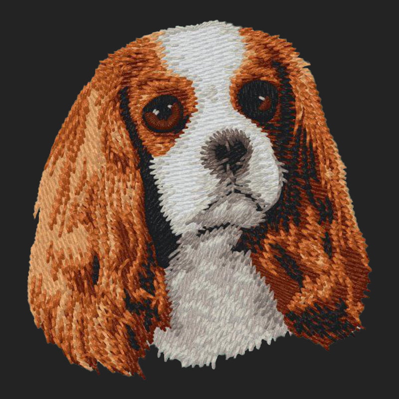Cavalier King Charles Spaniel Embroidered Sweatshirt Hoodie