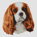 Cavalier King Charles Spaniel Embroidered Sweatshirt Hoodie