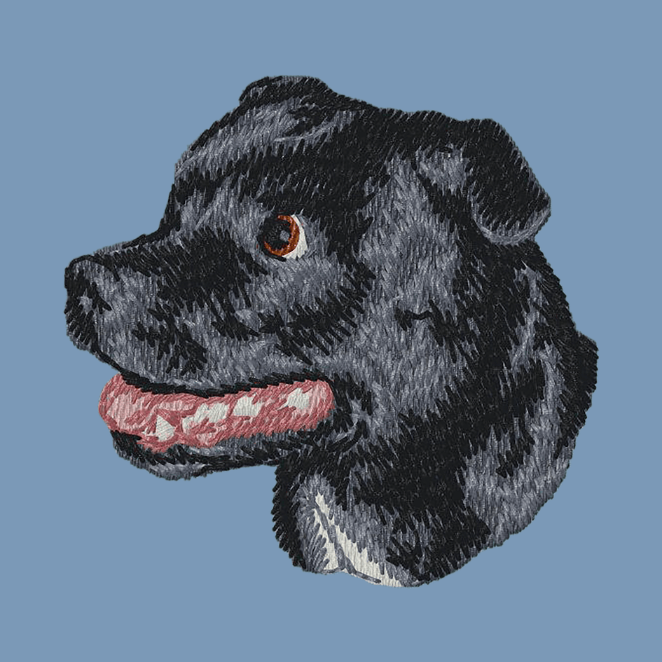 Staffordshire Bull Terrier Embroidered Men's Denim Shirt