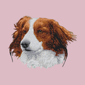 Nederlandse Kooikerhondje Embroidered Baseball Cap