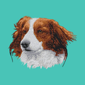 Nederlandse Kooikerhondje Embroidered Baseball Cap