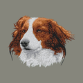 Nederlandse Kooikerhondje Embroidered Baseball Cap