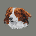 Nederlandse Kooikerhondje Embroidered Wearable Blanket